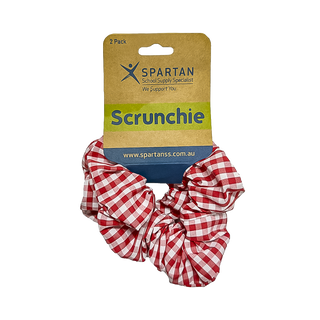 Summer Scrunchie - 2 Pack