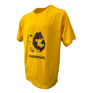 Sports T-Shirts (House Colours)