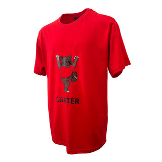 Sports T-Shirts (House Colours)