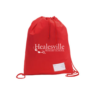 Library Bag